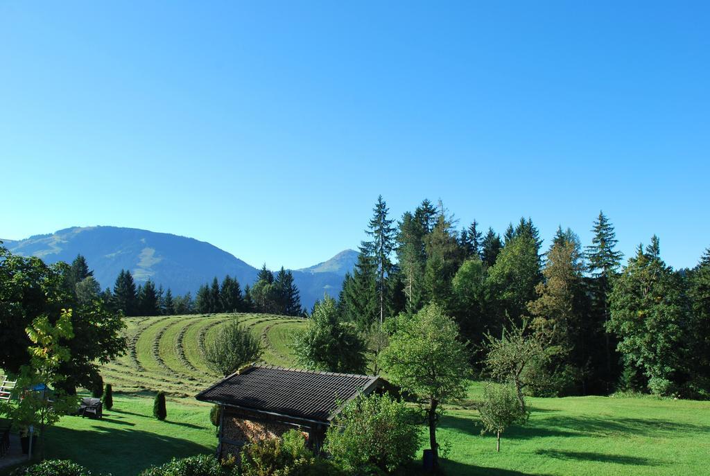 Berggasthof Baernstatt Scheffau am Wilden Kaiser Exterior foto